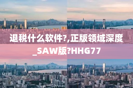 退税什么软件?,正版领域深度_SAW版?HHG77