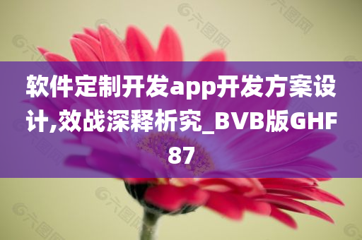 软件定制开发app开发方案设计,效战深释析究_BVB版GHF87