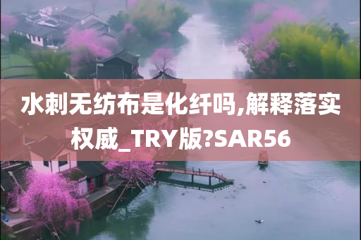 水刺无纺布是化纤吗,解释落实权威_TRY版?SAR56