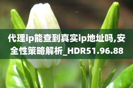 代理ip能查到真实ip地址吗,安全性策略解析_HDR51.96.88