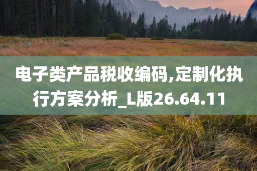 电子类产品税收编码,定制化执行方案分析_L版26.64.11