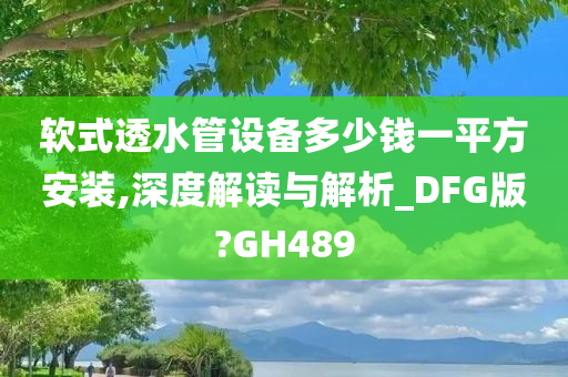 软式透水管设备多少钱一平方安装,深度解读与解析_DFG版?GH489