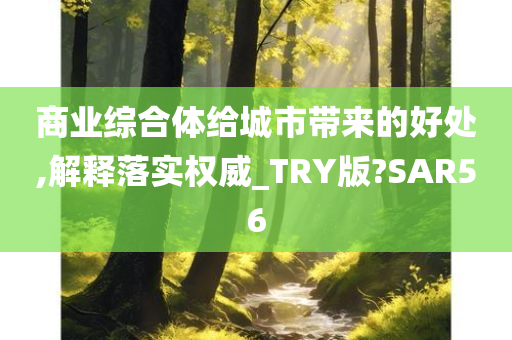 商业综合体给城市带来的好处,解释落实权威_TRY版?SAR56