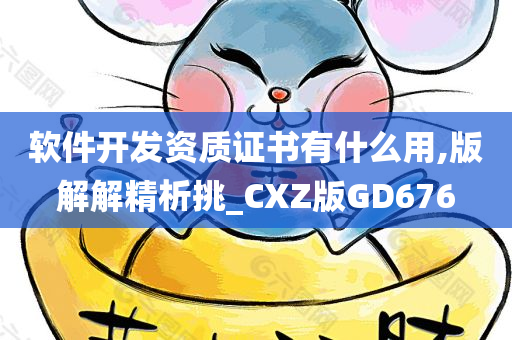 软件开发资质证书有什么用,版解解精析挑_CXZ版GD676