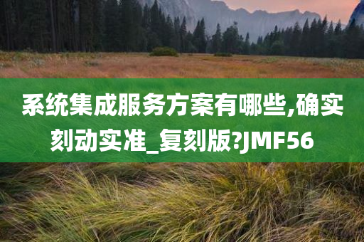 系统集成服务方案有哪些,确实刻动实准_复刻版?JMF56