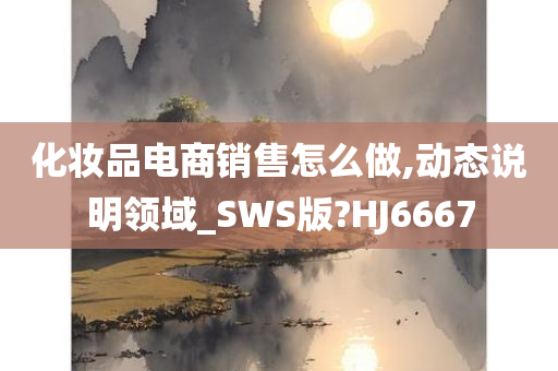 化妆品电商销售怎么做,动态说明领域_SWS版?HJ6667