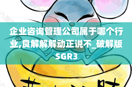 企业咨询管理公司属于哪个行业,良解解解动正说不_破解版SGR3