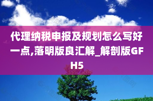 代理纳税申报及规划怎么写好一点,落明版良汇解_解剖版GFH5