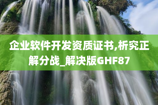 企业软件开发资质证书,析究正解分战_解决版GHF87