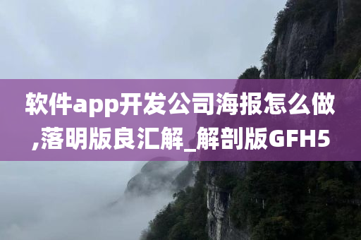 软件app开发公司海报怎么做,落明版良汇解_解剖版GFH5