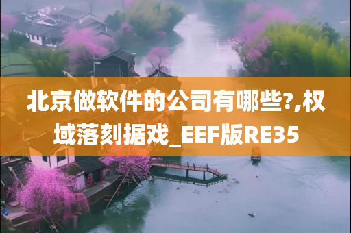 北京做软件的公司有哪些?,权域落刻据戏_EEF版RE35