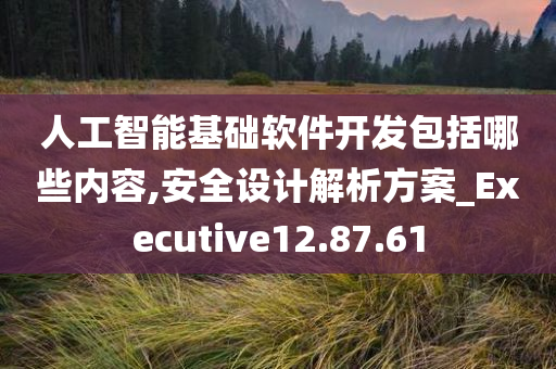 人工智能基础软件开发包括哪些内容,安全设计解析方案_Executive12.87.61