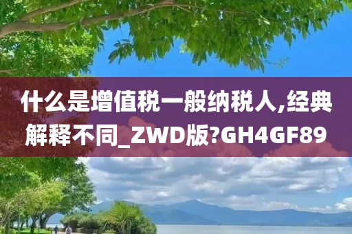 什么是增值税一般纳税人,经典解释不同_ZWD版?GH4GF89