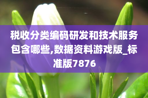 税收分类编码研发和技术服务包含哪些,数据资料游戏版_标准版7876