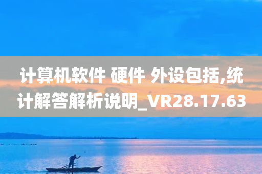 计算机软件 硬件 外设包括,统计解答解析说明_VR28.17.63