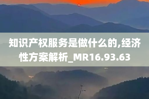 知识产权服务是做什么的,经济性方案解析_MR16.93.63