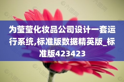 为莹莹化妆品公司设计一套运行系统,标准版数据精英版_标准版423423