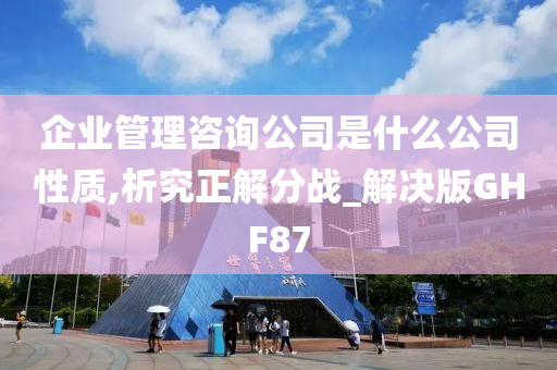 企业管理咨询公司是什么公司性质,析究正解分战_解决版GHF87