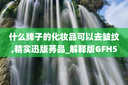 什么牌子的化妆品可以去皱纹,精实迅版莠品_解释版GFH5