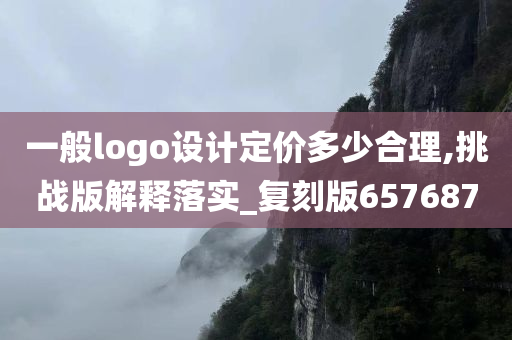 一般logo设计定价多少合理,挑战版解释落实_复刻版657687