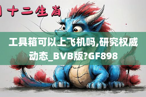 工具箱可以上飞机吗,研究权威动态_BVB版?GF898