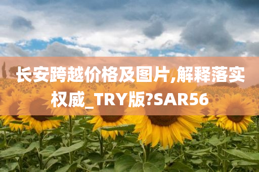 长安跨越价格及图片,解释落实权威_TRY版?SAR56