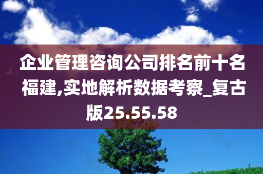 企业管理咨询公司排名前十名 福建,实地解析数据考察_复古版25.55.58