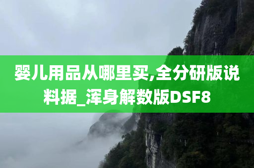 婴儿用品从哪里买,全分研版说料据_浑身解数版DSF8