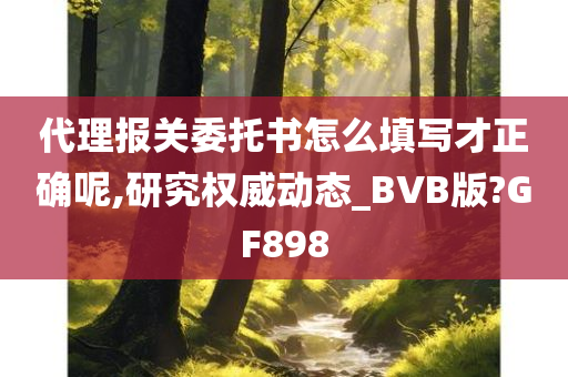 代理报关委托书怎么填写才正确呢,研究权威动态_BVB版?GF898