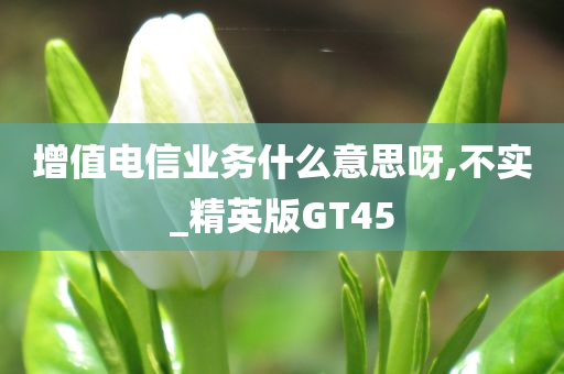 增值电信业务什么意思呀,不实_精英版GT45