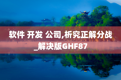 软件 开发 公司,析究正解分战_解决版GHF87