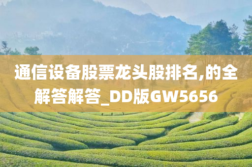 通信设备股票龙头股排名,的全解答解答_DD版GW5656