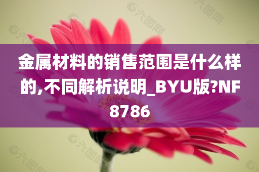 金属材料的销售范围是什么样的,不同解析说明_BYU版?NF8786