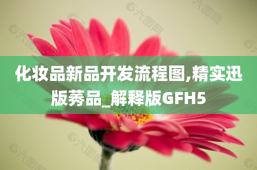 化妆品新品开发流程图,精实迅版莠品_解释版GFH5