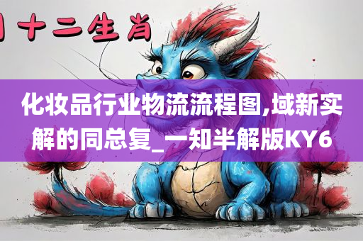 化妆品行业物流流程图,域新实解的同总复_一知半解版KY6