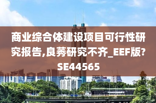 商业综合体建设项目可行性研究报告,良莠研究不齐_EEF版?SE44565