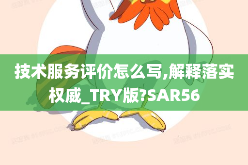 技术服务评价怎么写,解释落实权威_TRY版?SAR56