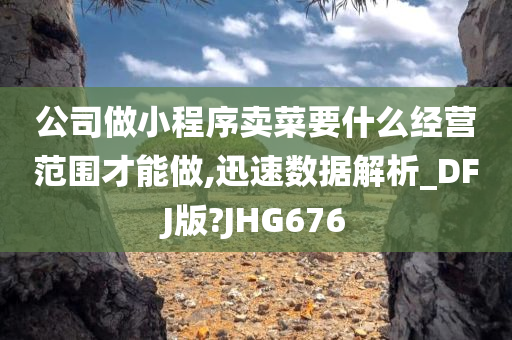 公司做小程序卖菜要什么经营范围才能做,迅速数据解析_DFJ版?JHG676