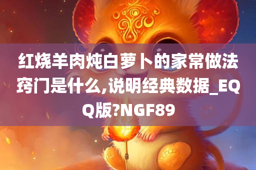 红烧羊肉炖白萝卜的家常做法窍门是什么,说明经典数据_EQQ版?NGF89