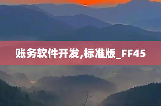 账务软件开发,标准版_FF45