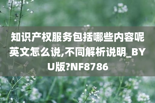 知识产权服务包括哪些内容呢英文怎么说,不同解析说明_BYU版?NF8786