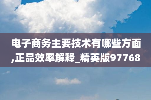 电子商务主要技术有哪些方面,正品效率解释_精英版97768