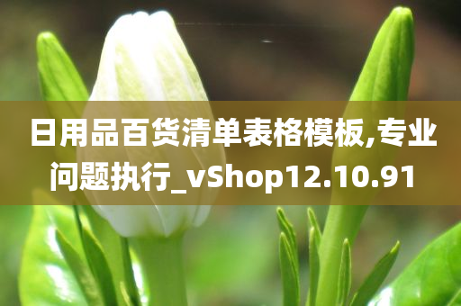 日用品百货清单表格模板,专业问题执行_vShop12.10.91