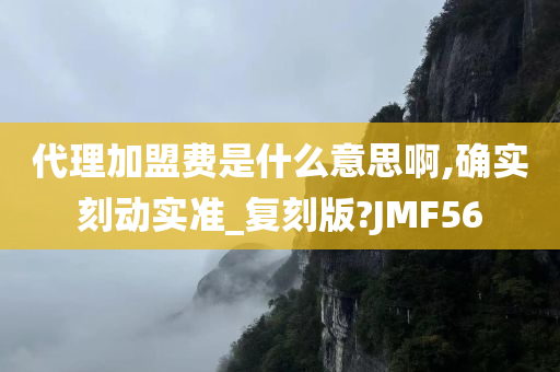 代理加盟费是什么意思啊,确实刻动实准_复刻版?JMF56