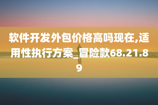 软件开发外包价格高吗现在,适用性执行方案_冒险款68.21.89