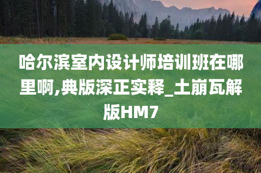 哈尔滨室内设计师培训班在哪里啊,典版深正实释_土崩瓦解版HM7