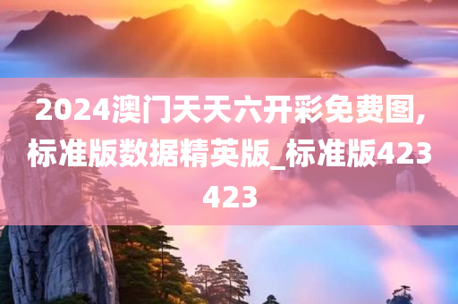 2024澳门天天六开彩免费图,标准版数据精英版_标准版423423