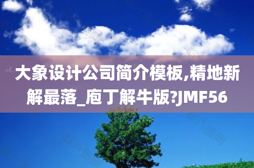 大象设计公司简介模板,精地新解最落_庖丁解牛版?JMF56