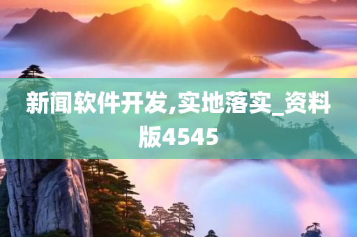 新闻软件开发,实地落实_资料版4545