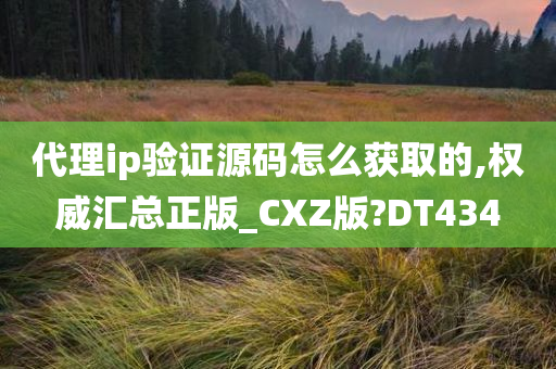 代理ip验证源码怎么获取的,权威汇总正版_CXZ版?DT434